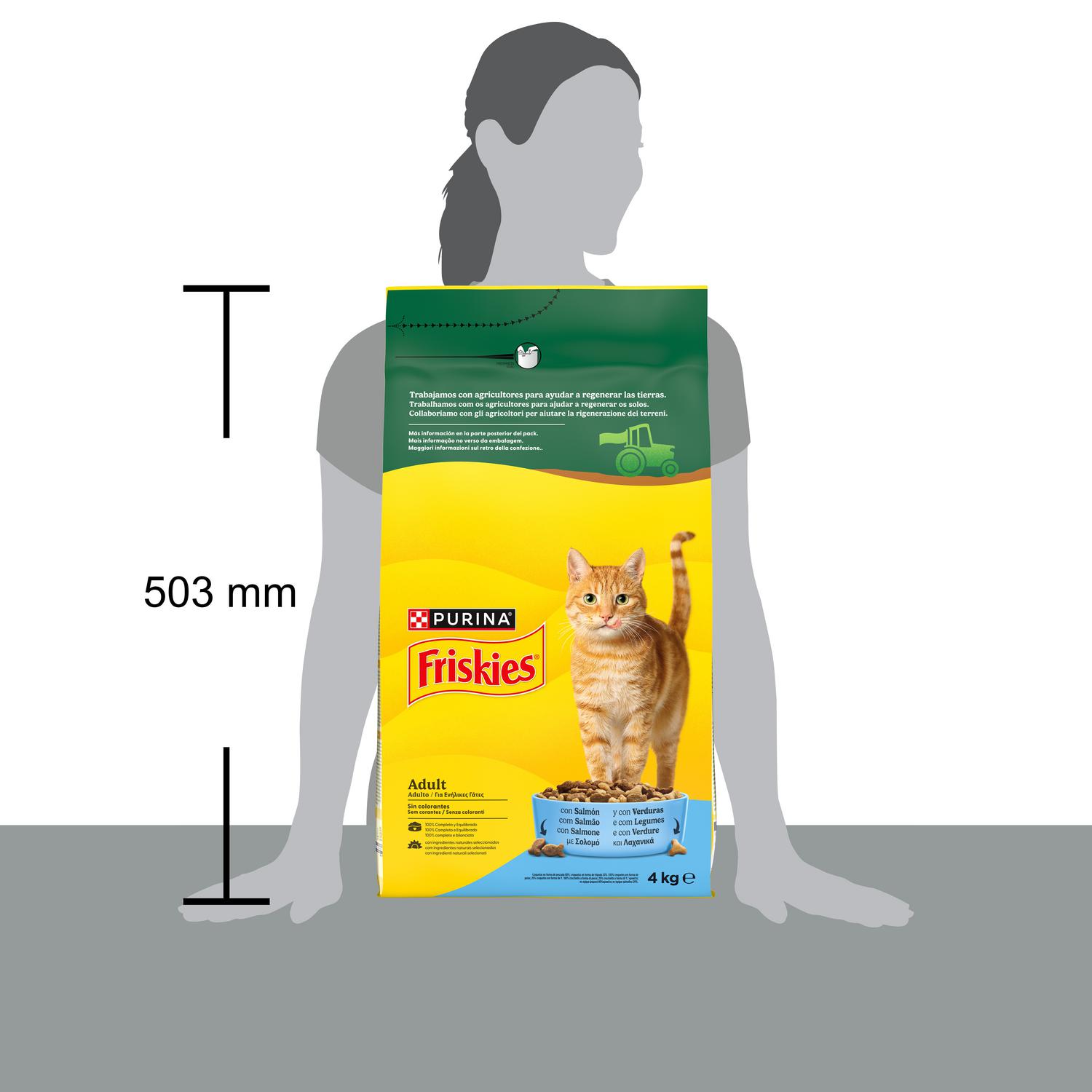 Pienso de salmón y verduras para gato adulto Purina Friskies 4 kg