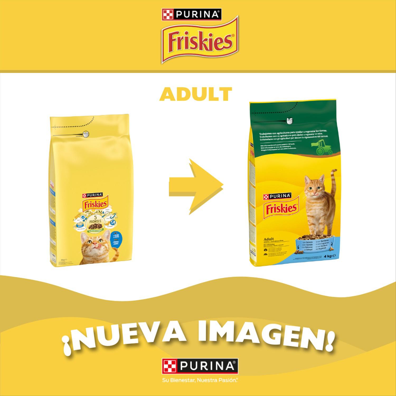 Pienso de salmón y verduras para gato adulto Purina Friskies 4 kg