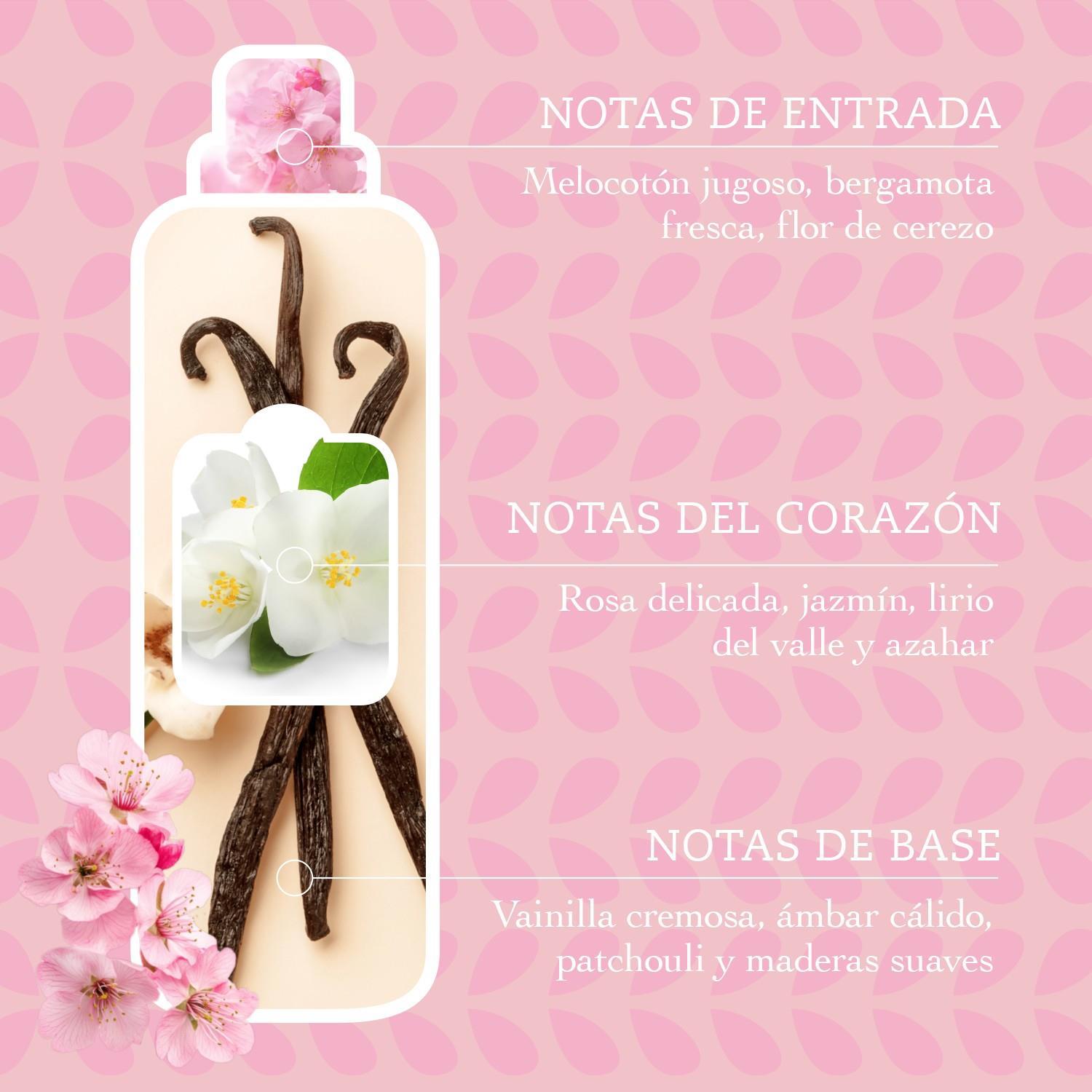 Suavizante concentrado aromático flor de cerezo y agua de arroz Ikigai Tesori d'Oriente 42 lavados.