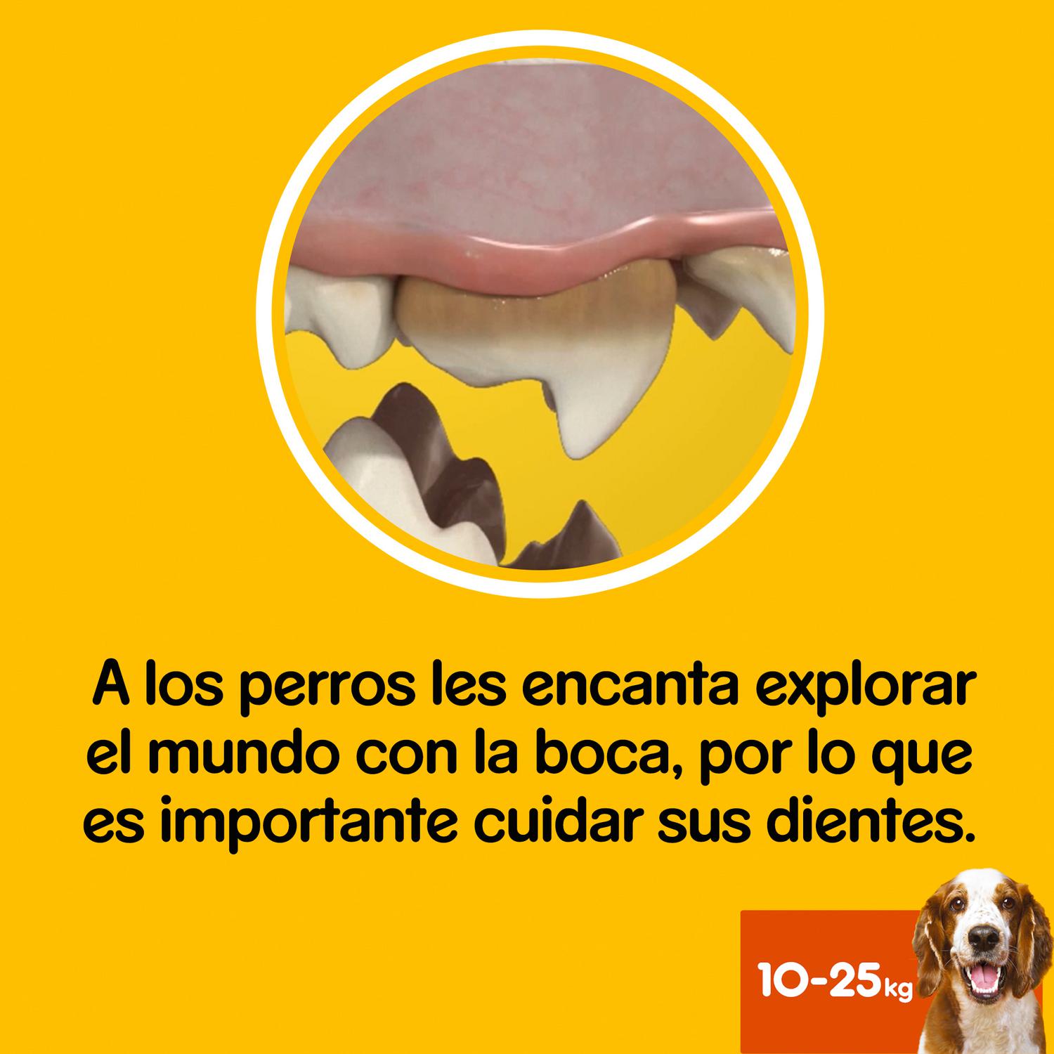 Snacks dental para perros medianos Pedigree Dentastix pack de 28 unidades