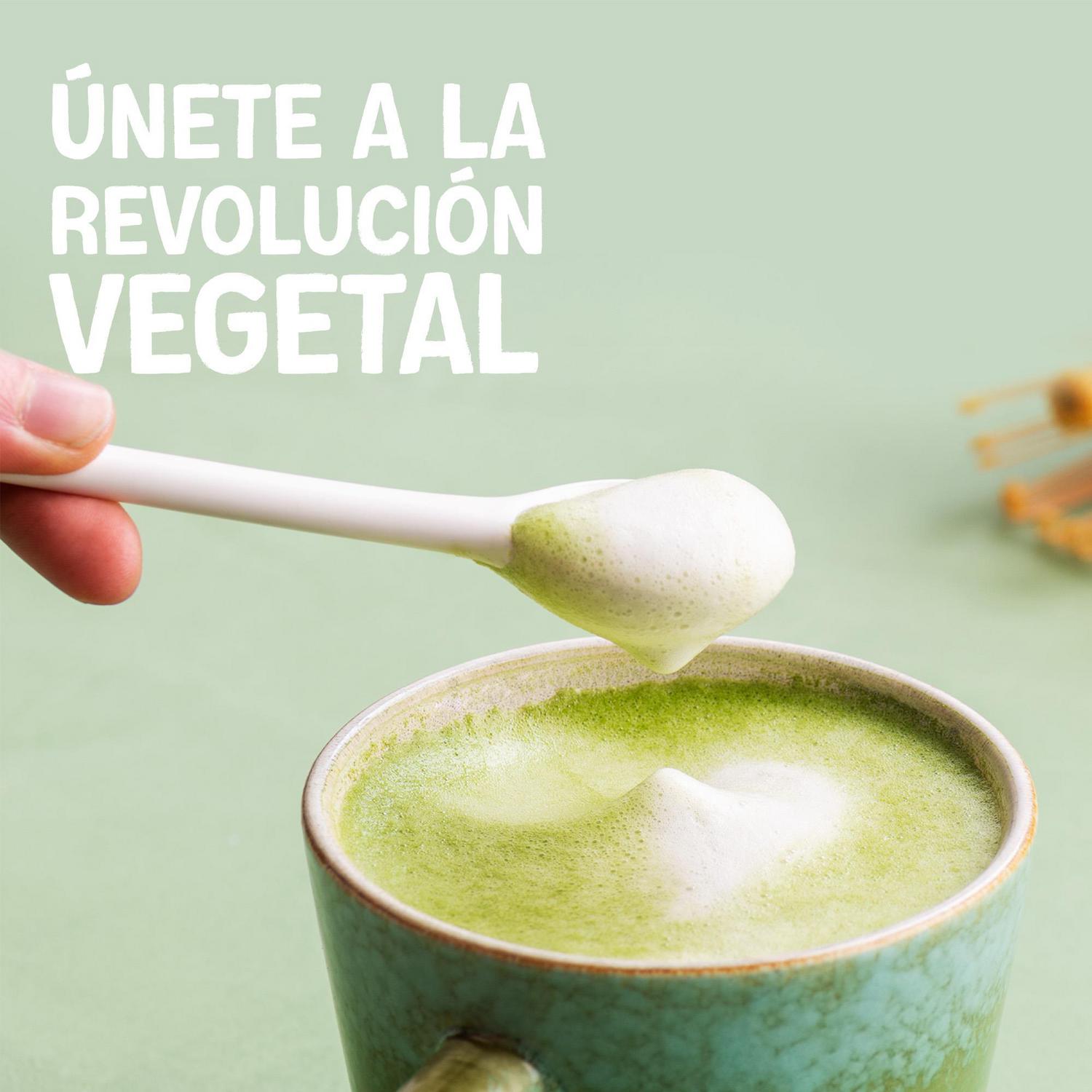 Bebida vegetal de matcha con base de coco Alpro sin gluten y sin lactosa brik  1 l