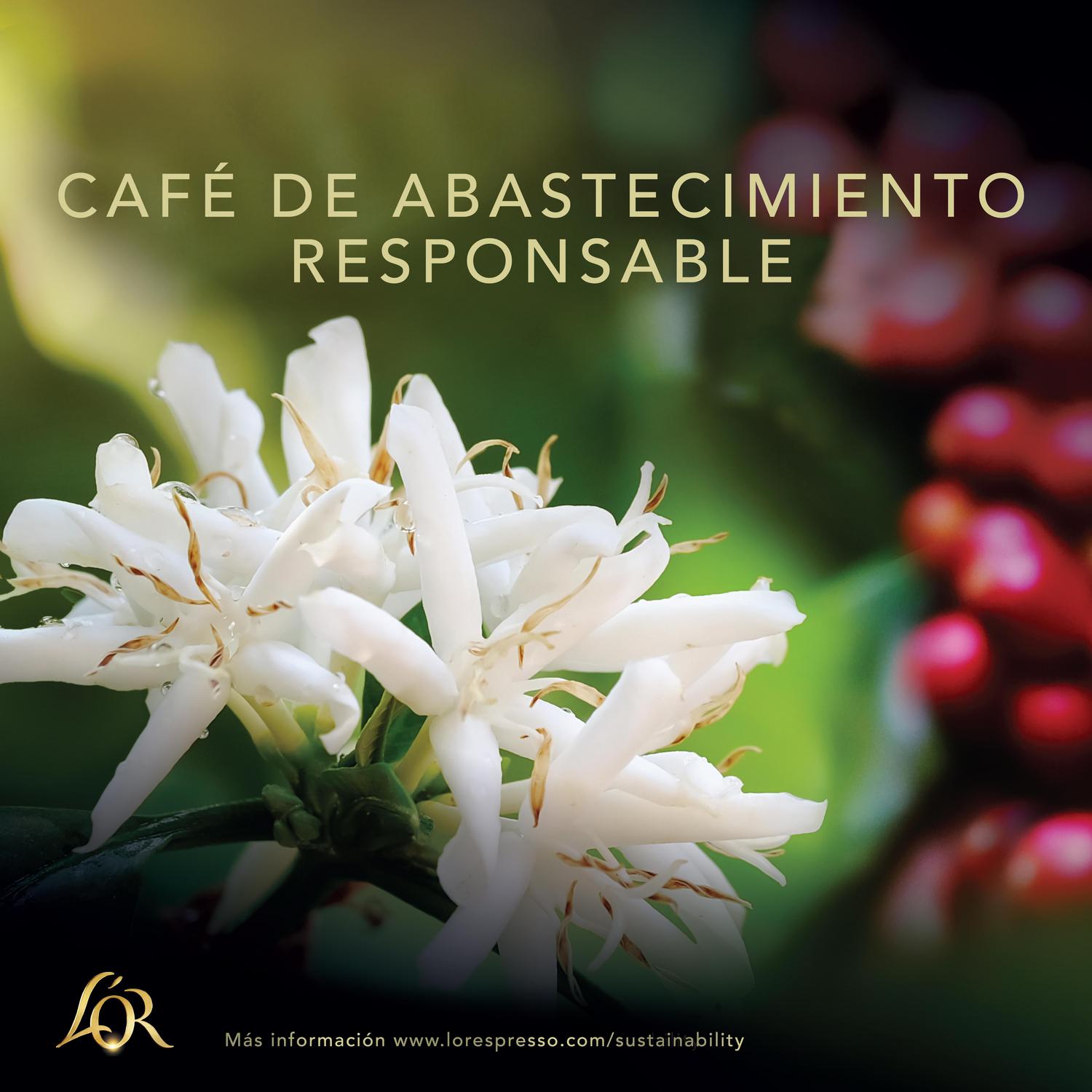 Café cápsulas espresso estido Dubai L'or compatible con Nespresso 10 ud.