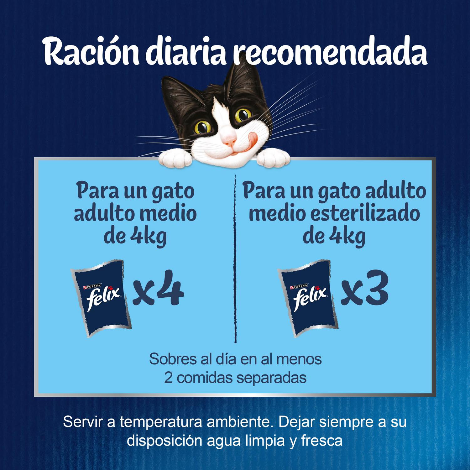 Comida húmeda en gelatina selecciones favoritas para gatos Purina Felix Fantastic 12x85 g
