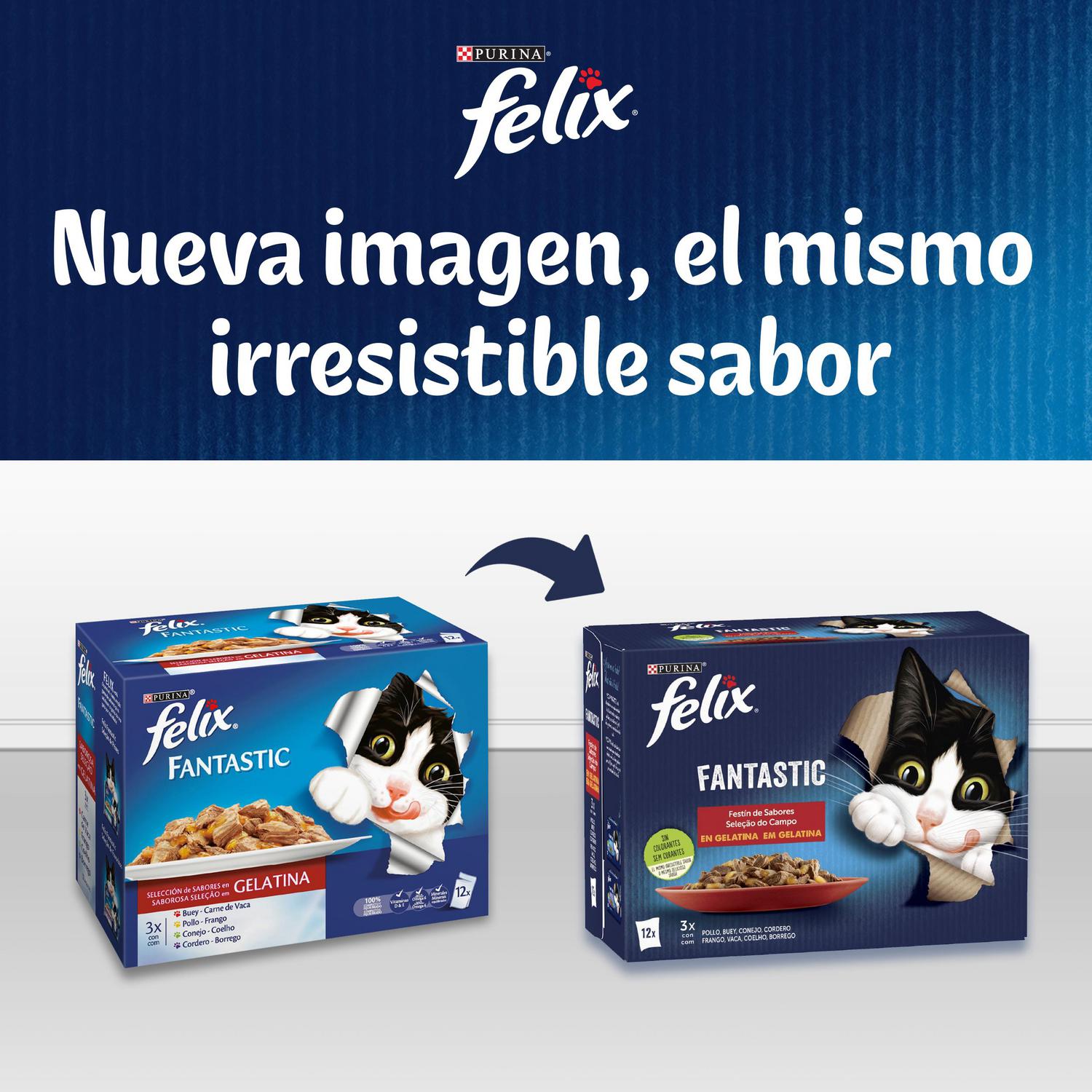 Comida húmeda en gelatina festín de sabores para gatos Purina Felix Duo 4x85 g