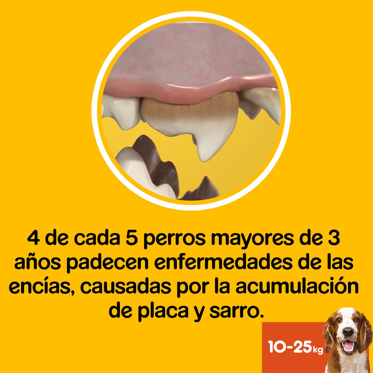 Snacks dental para perros medianos Pedigree Dentastix Fresh pack de 28 unidades
