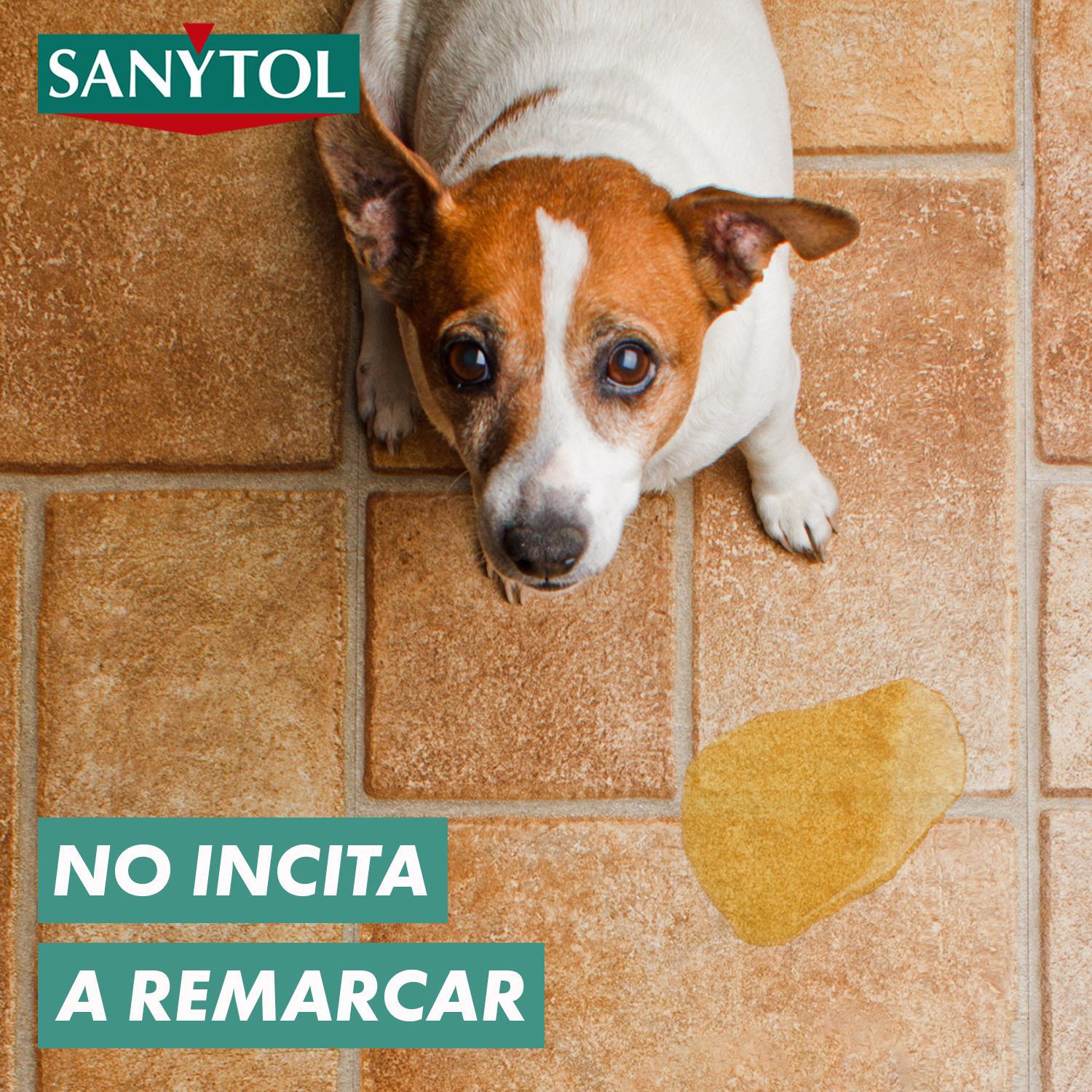 Limpiador desinfectante suelos y superficies Sanytol 1,2 l.