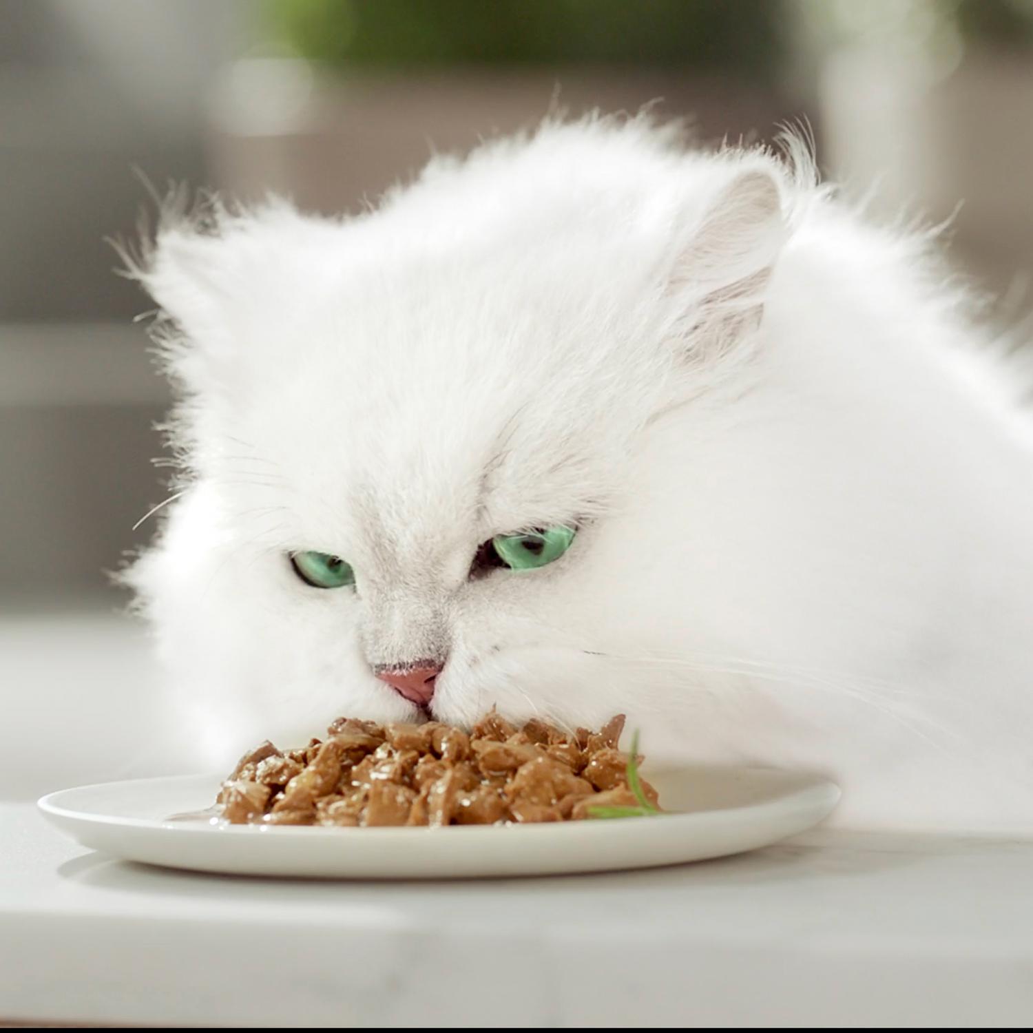 Comida húmeda selección de pescados para gato adulto Gourmet Mon Petit 6x50 g.