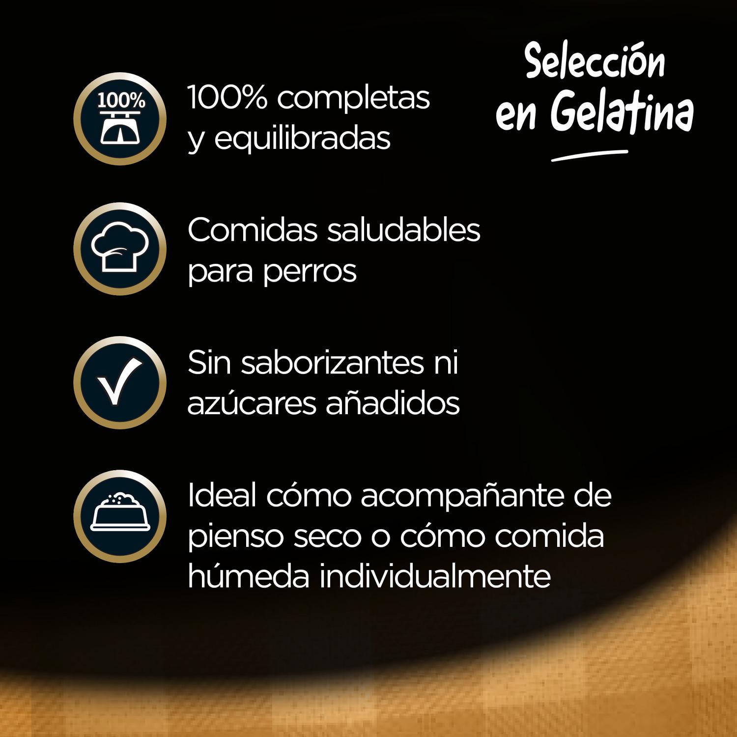 Comida húmeda selección carnes mixtas en gelatina para perro Cesar pack de 4 unidades de 100 g.
