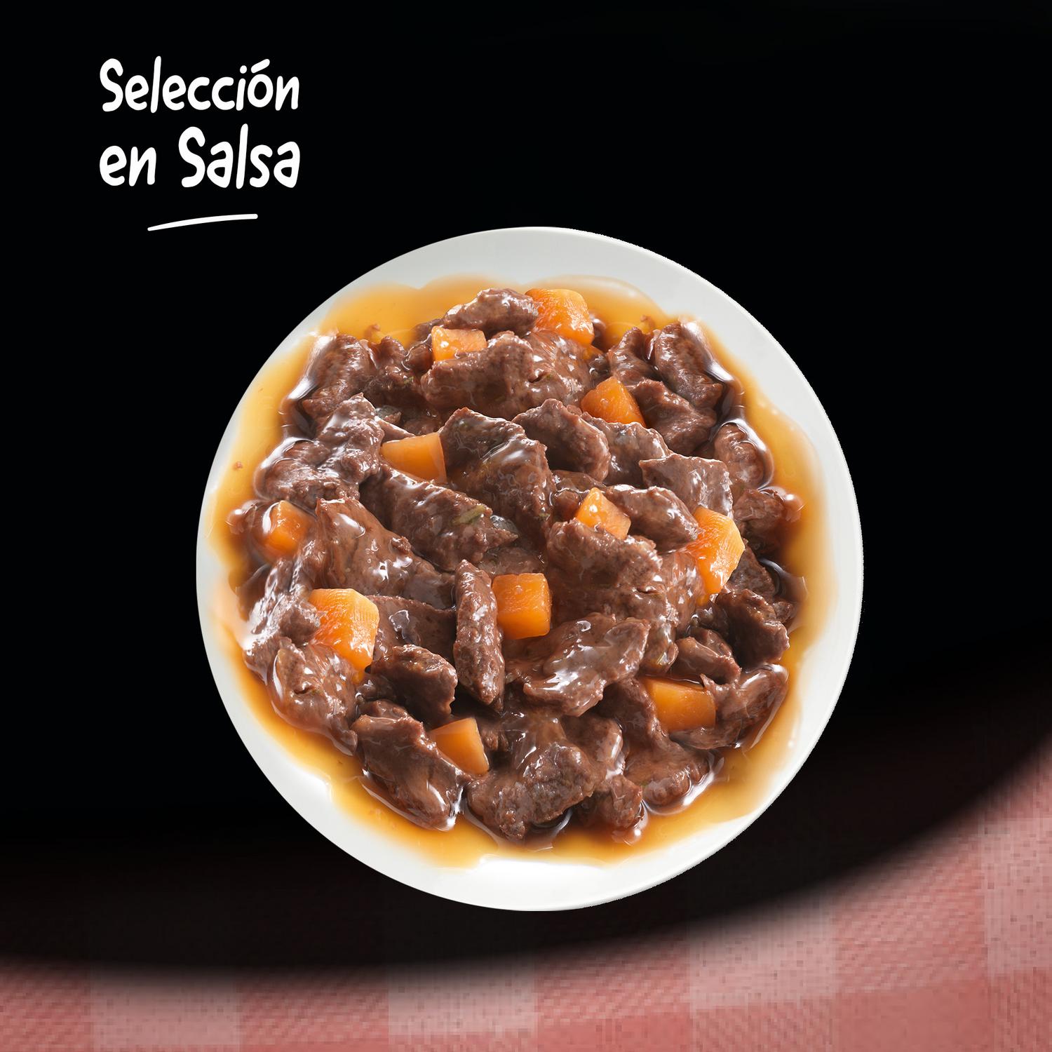 Comida húmeda selección carnes mixtas en salsa para perro Cesar pack de 4 unidades de 100 g.