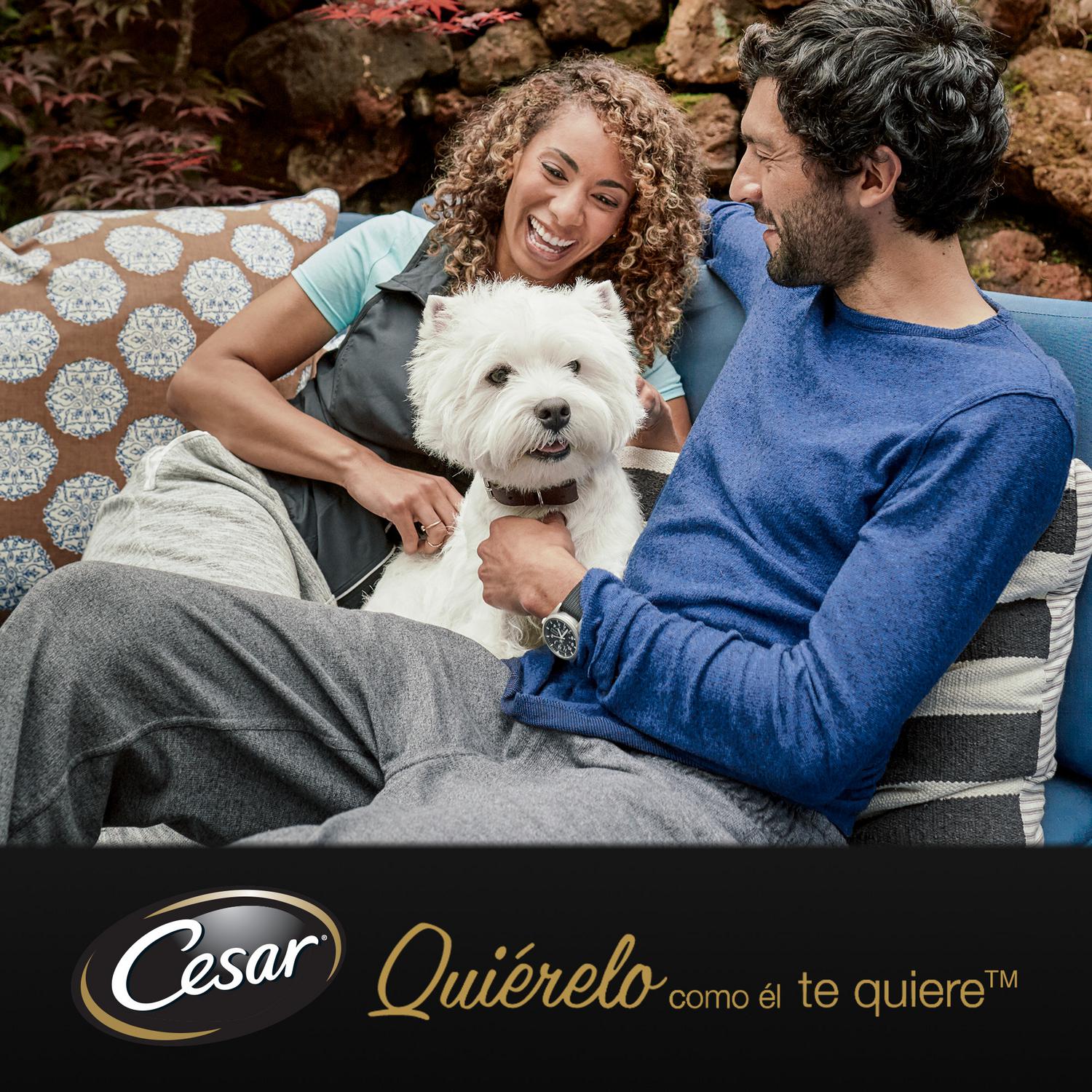 Comida húmeda selección carnes mixtas en salsa para perro Cesar pack de 4 unidades de 100 g.