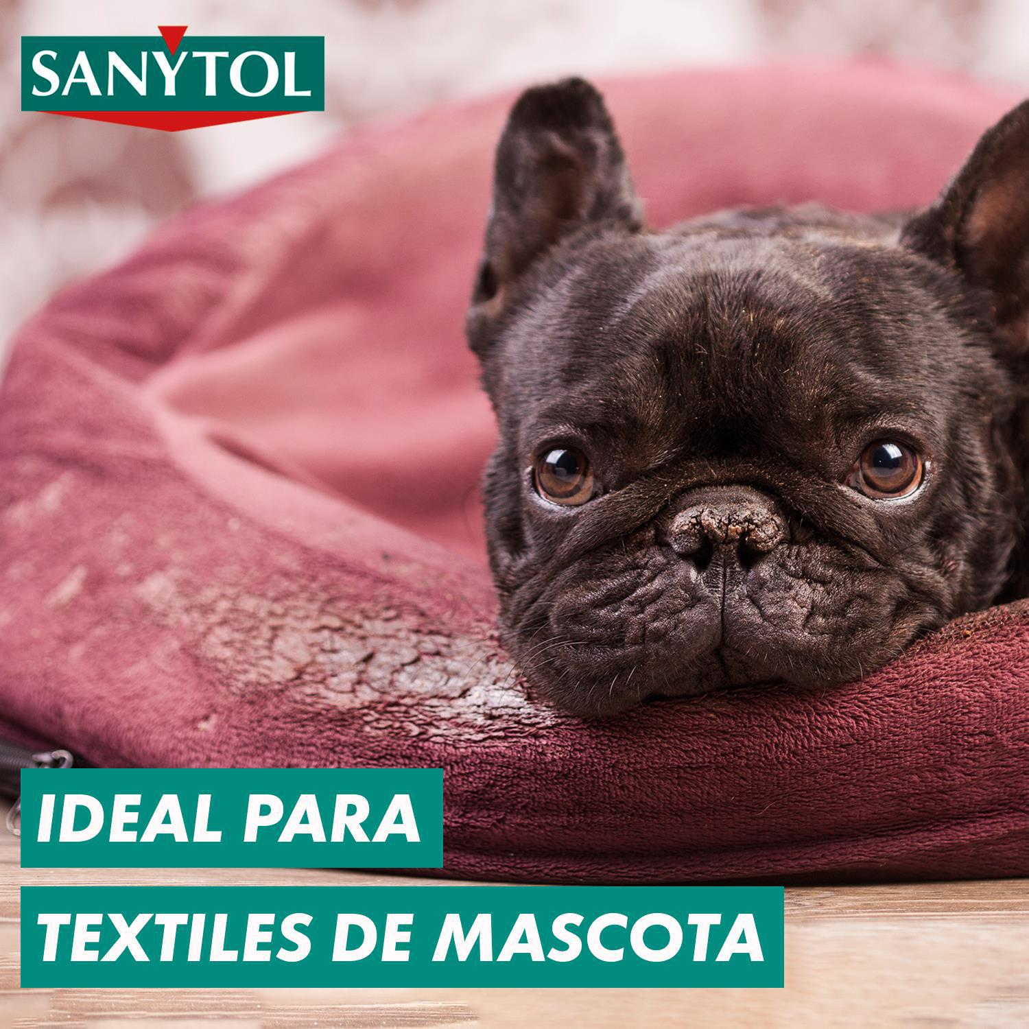 Quitamanchas desinfectante en polvo Sanytol 450 g.