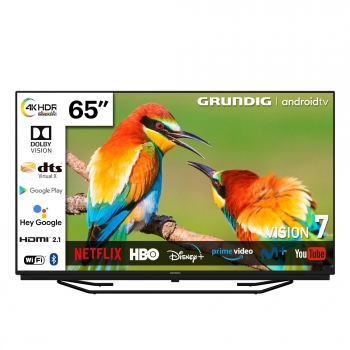 TV LED 165,1 cm (65") Grundig 65 GGU 7960B, 4K UHD, Smart TV