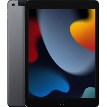 iPad 25,91 cm - 10,2'' con Wi‑Fi 64GB Apple - Gris espacial