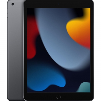 iPad 25,91 cm - 10,2'' con Wi‑Fi 256GB Apple - Gris espacial