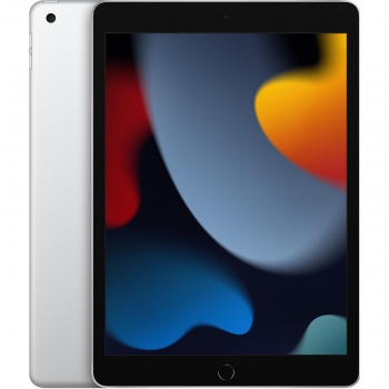 iPad 25,91 cm - 10,2'' con Wi-Fi + Cellular 256GB Apple - Plata