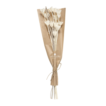 Bouquet Natural Lori