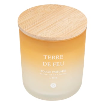 Vela Perfumada Terre de Feu 255g ATMOSPHERA Sana