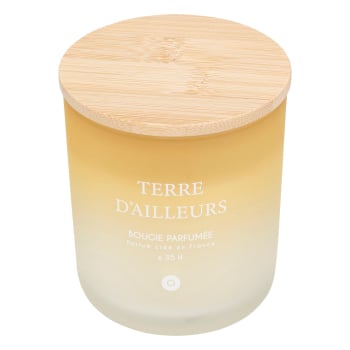 Vela Perfumada Terre D'Ailleurs 255g ATMOSPHERA Sana