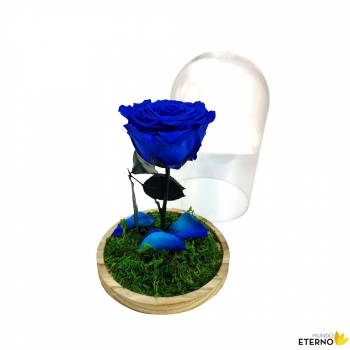 Rosa Eterna Preservada De Color Azul Oscuro Cúpula