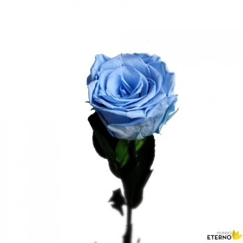 Rosa Eterna Preservada De Color Azul Claro 55cm