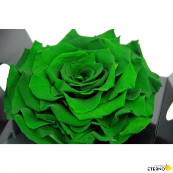 Rosa Eterna Preservada De Color Verde King