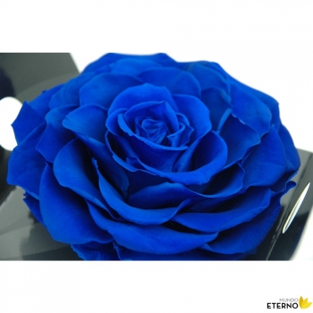 Rosa Eterna Preservada De Color Azul Oscuro King