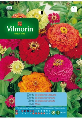 Vilmorin Semillas De Zinnia Grande California Flores S-1, 2 Gr