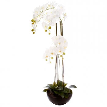 Orquídea En Maceta De Dolomita/polietileno Atmosphera 46x30x115cm Blanco