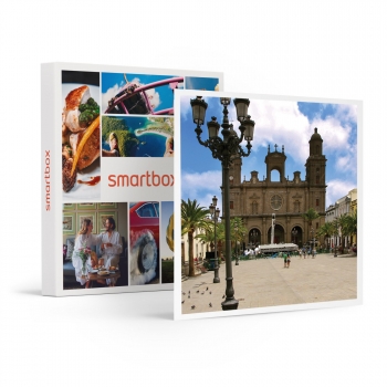 Caja Regalo Aventura - 2 Días En Bus Por Gran Canaria, 3 Visitas A Museos Y Tour Por Vegueta