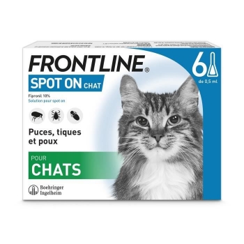 Spot On Cat - 6 Pipetas Frontline