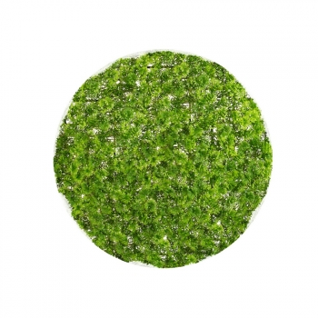 Bola Boj Artificial Verde De Plástico Para Exterior De Ø 20cm