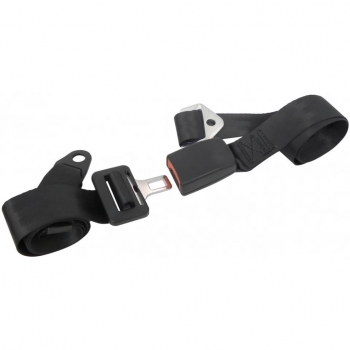 Cinturón De Seguridad De 2 Puntos Ajustable En 2 Lados Negro Carpoint