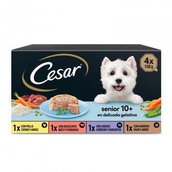 Comida húmeda en delicada gelatina para perro senior Cesar pack de 4 unidades de 150 g.