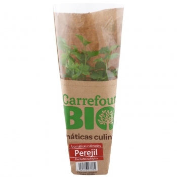 Perejil liso ecológico Carrefour Bio maceta 1 ud