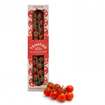 Tomate cherry rama sharmita premium 200 g