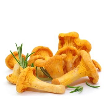 Seta rebozuelo granel 500 g aprox