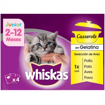 Comida húmeda selección aves para gatos junior Whiskas Casserole pack de 4 unidades de 85 g.