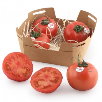Tomate rosa tip top 750 g