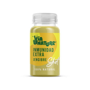 Zumo de manzana y limón con jengibre Vianature 100 ml.