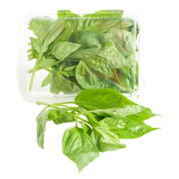 Albahaca 20 g