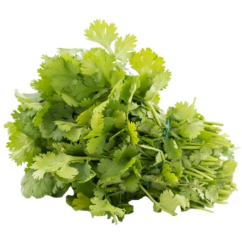Cilantro 20 g