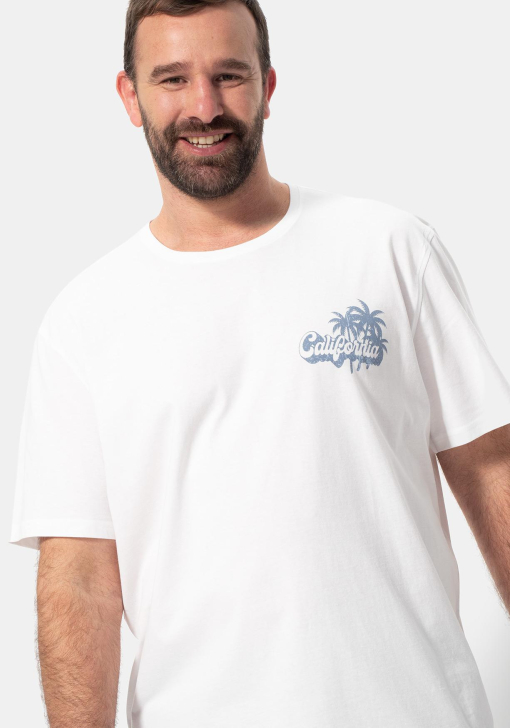 Camiseta manga corta para Tallas Grandes de Hombre TEX | Las mejores  ofertas en moda - Carrefour.es