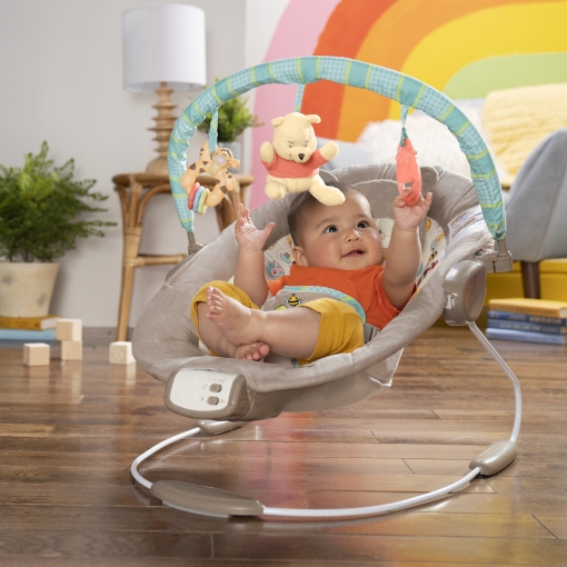 Ver internet legislación Soledad Hamaca Balancín Bebé Disney Baby Winnie The Pooh Bright Starts con Ofertas  en Carrefour | Las mejores ofertas de Carrefour