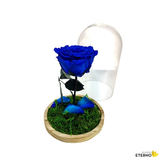 Rosa Eterna Preservada De Color Azul Oscuro Cúpula con Ofertas en Carrefour  | Las mejores ofertas de Carrefour