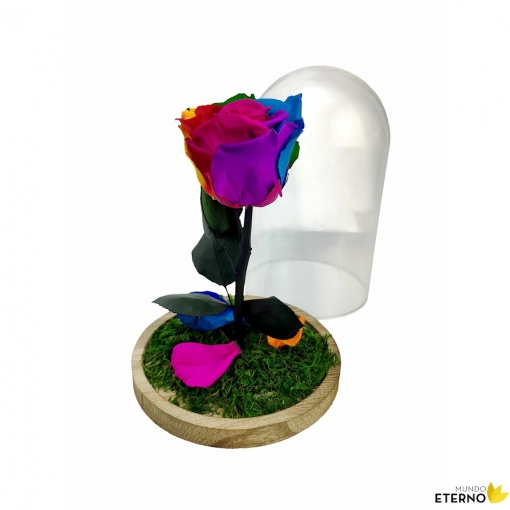 Rosa Preservada De Color Multicolor Cúpula con Ofertas en Carrefour | Las mejores de Carrefour