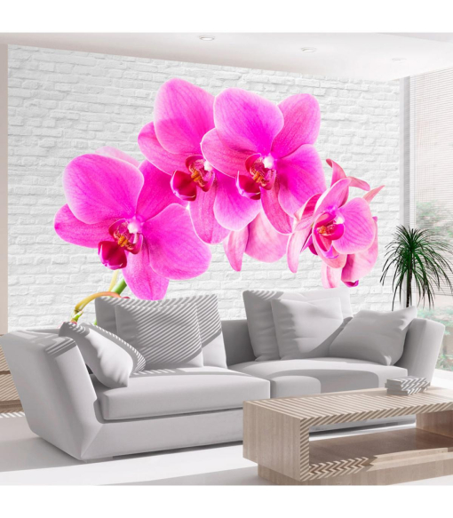 Fotomural Estimulaci n Rosa Medidas 400x280 Con Ofertas En 