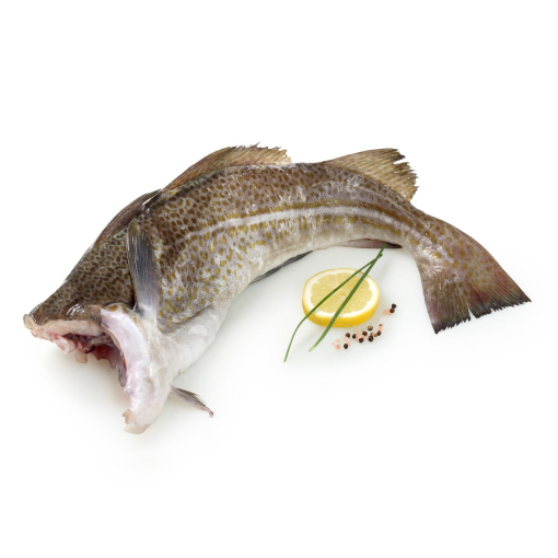 Bacalao 3 kg aprox