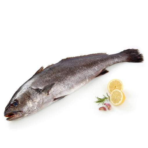 Corvina Círculo de Calidad 2 kg aprox