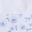 Azul 3