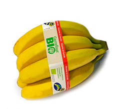 plátanos BIO